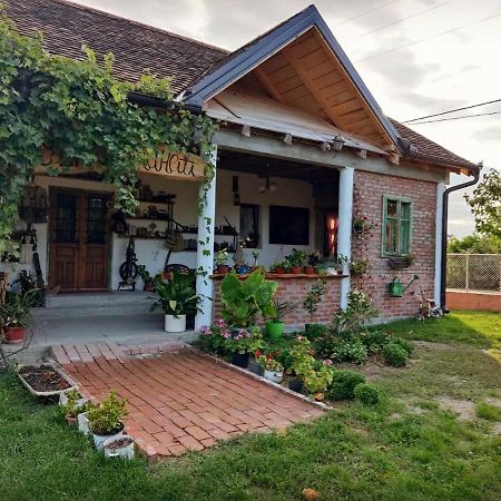 Amanet House Zasavicaアパートメント エクステリア 写真