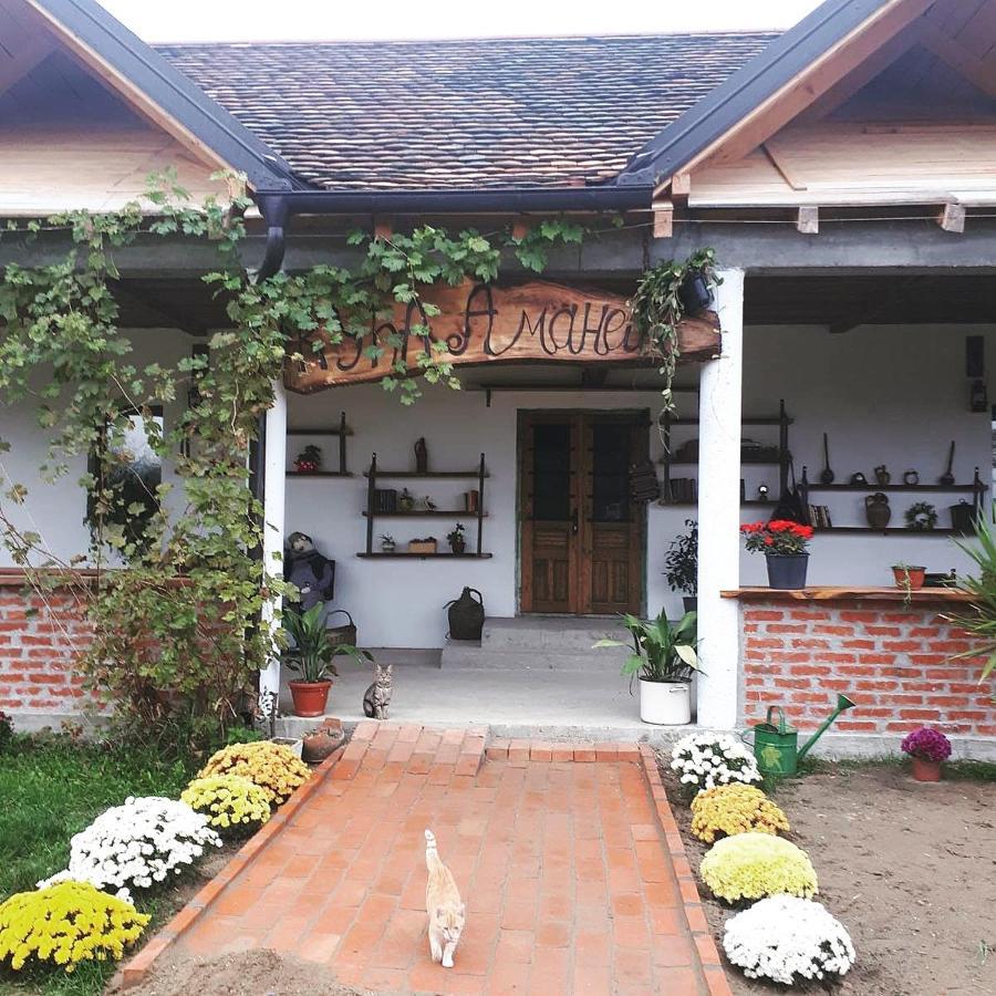 Amanet House Zasavicaアパートメント エクステリア 写真