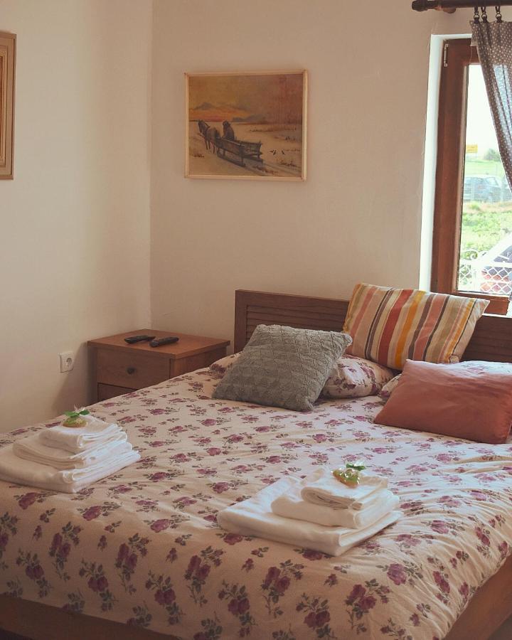 Amanet House Zasavicaアパートメント エクステリア 写真