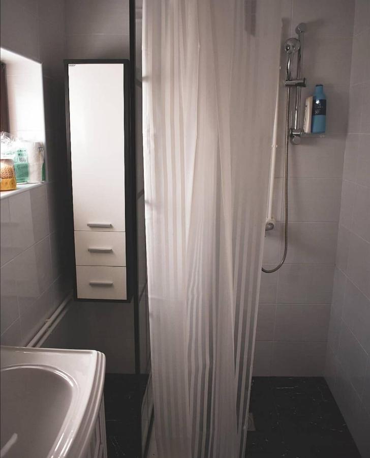 Amanet House Zasavicaアパートメント エクステリア 写真