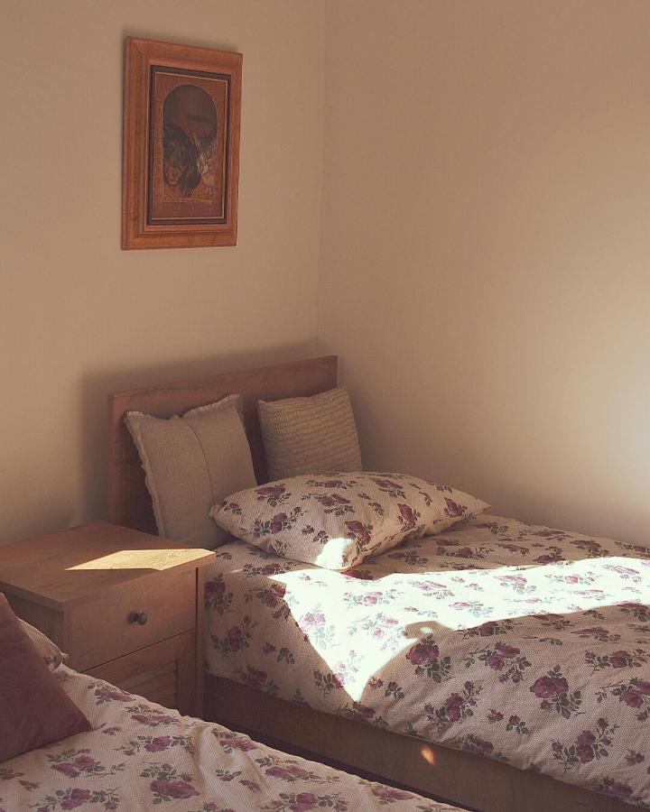 Amanet House Zasavicaアパートメント エクステリア 写真