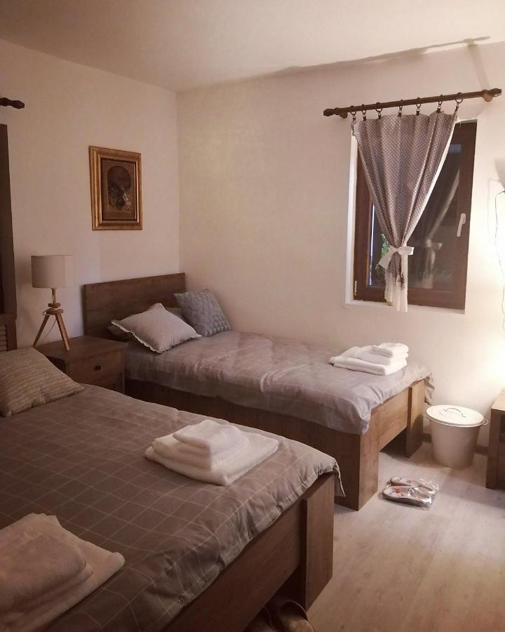 Amanet House Zasavicaアパートメント エクステリア 写真