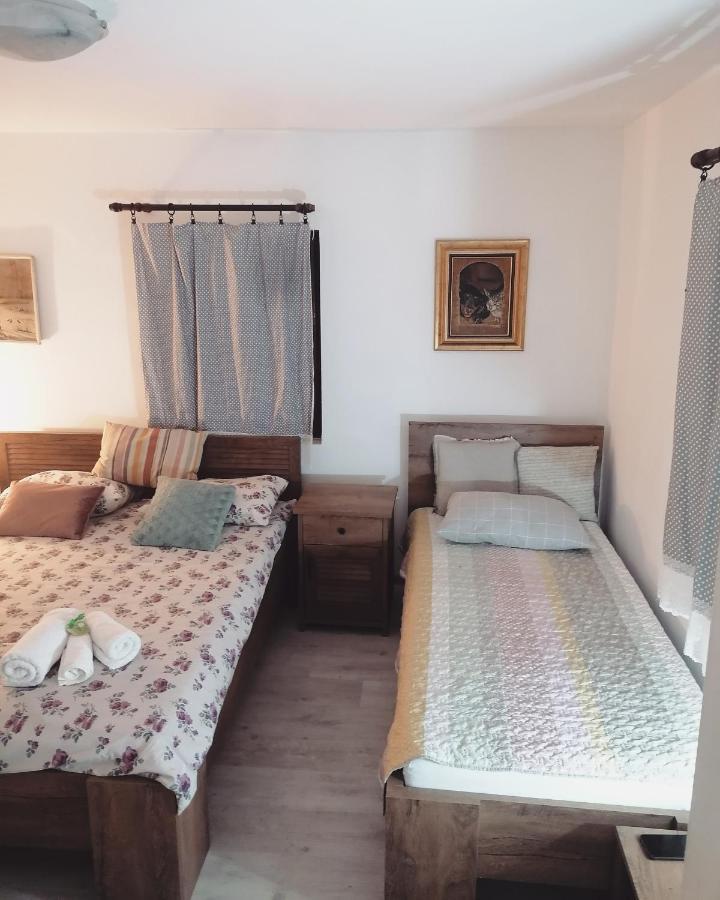 Amanet House Zasavicaアパートメント エクステリア 写真