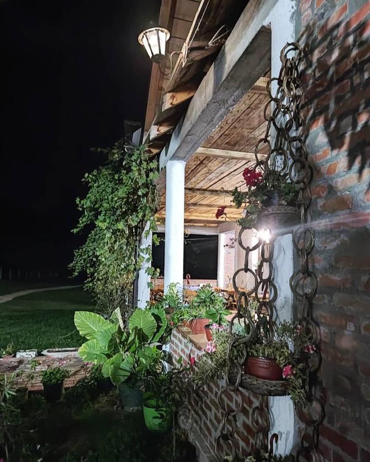 Amanet House Zasavicaアパートメント エクステリア 写真