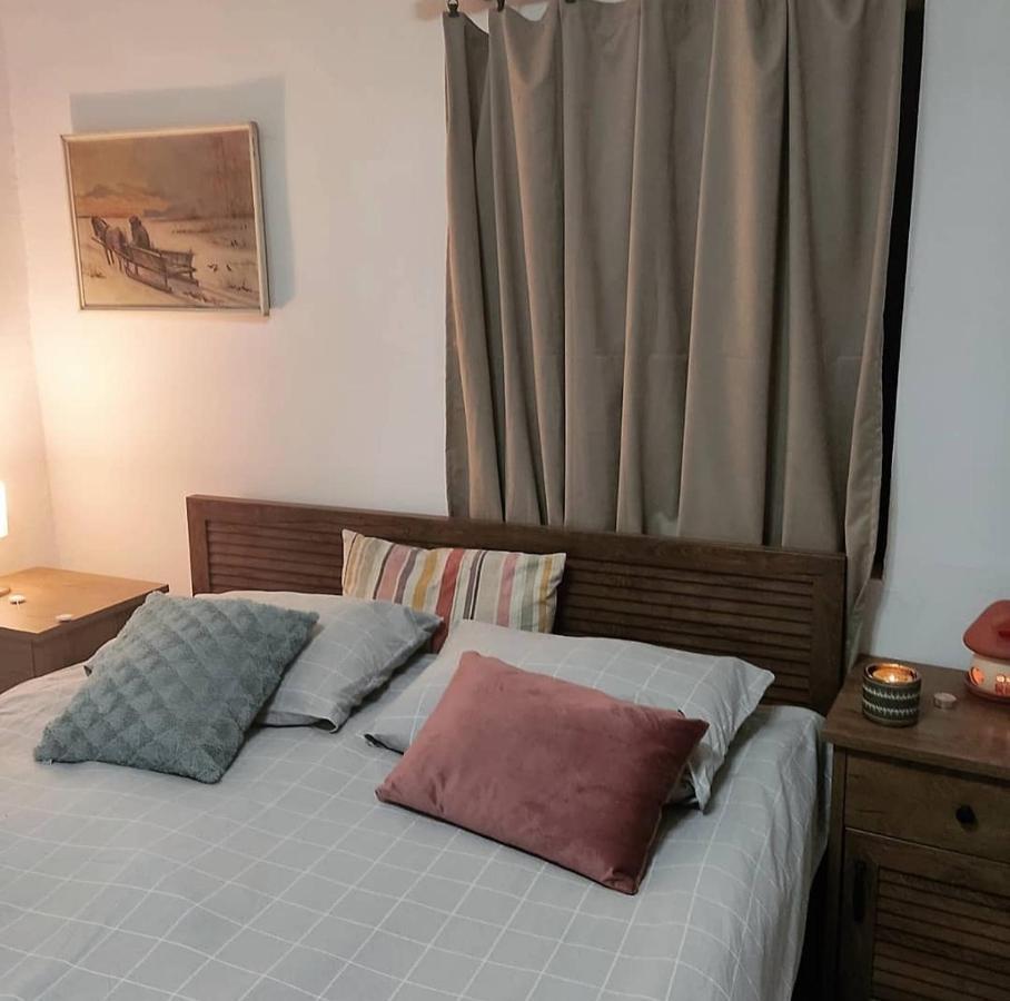 Amanet House Zasavicaアパートメント エクステリア 写真