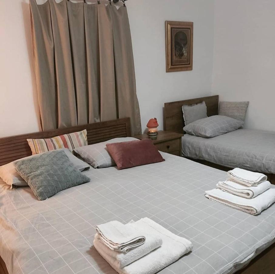 Amanet House Zasavicaアパートメント エクステリア 写真