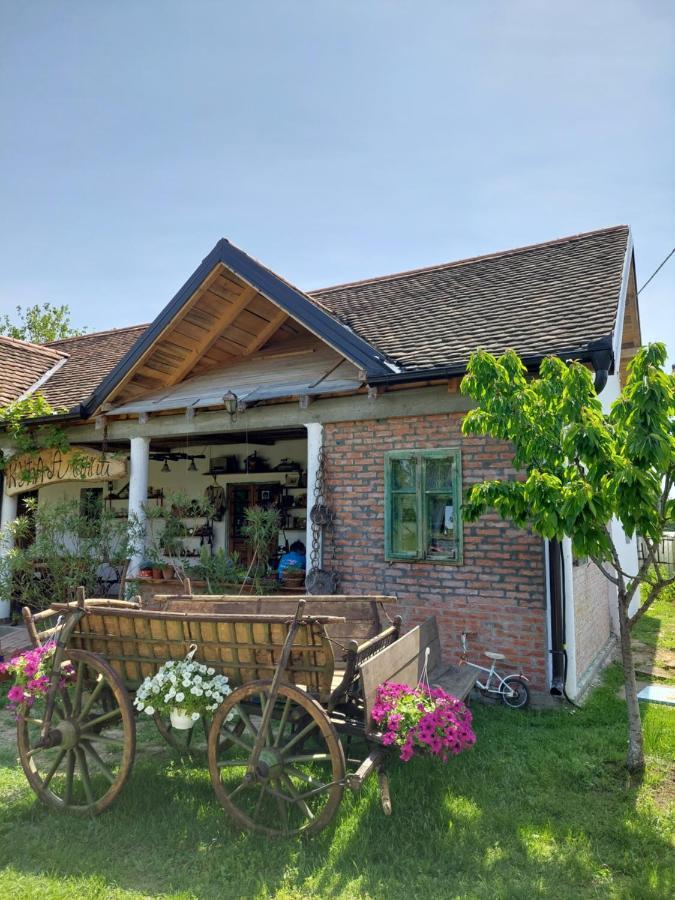 Amanet House Zasavicaアパートメント エクステリア 写真
