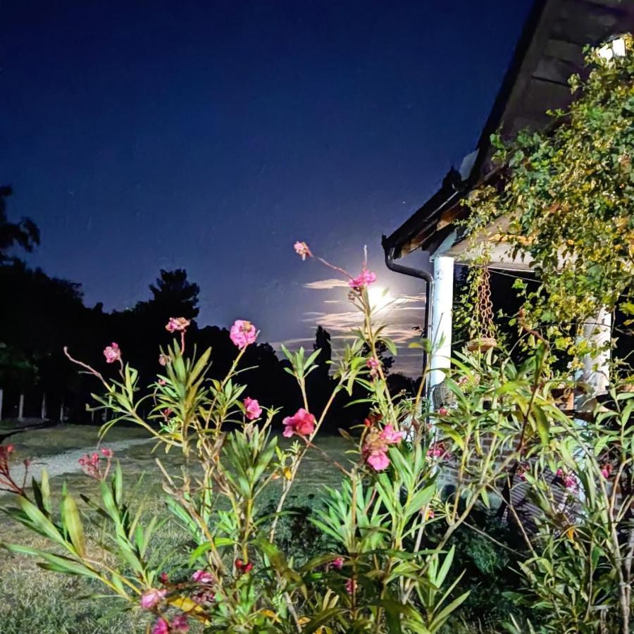Amanet House Zasavicaアパートメント エクステリア 写真