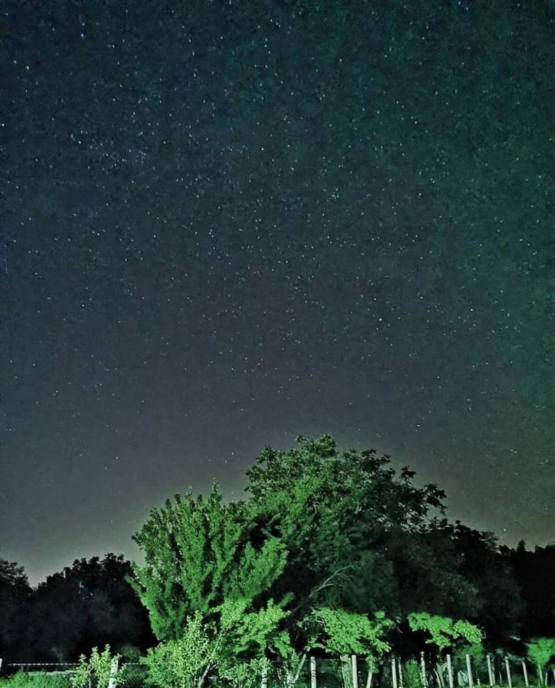 Amanet House Zasavicaアパートメント エクステリア 写真